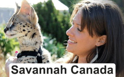 Savannah Canada