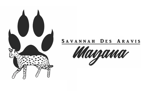 Savanah des Aravis – Mayana