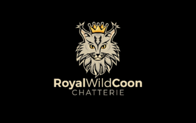 Royal Wild Coon