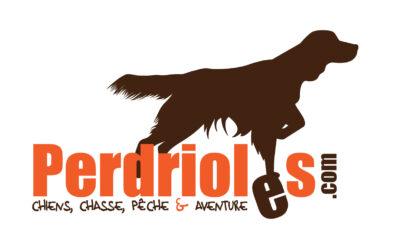 Perdrioles French Spaniel