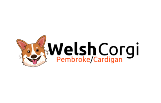 Welsh Corgi Canada